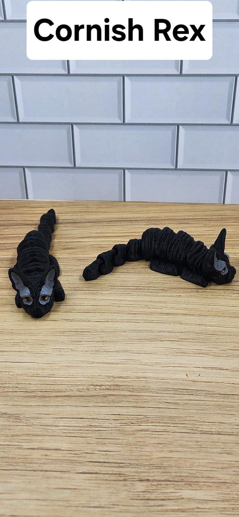 May include: Two black Cornish Rex cats are lying on a wooden surface. The cats have short, curly fur and are looking at the camera.
