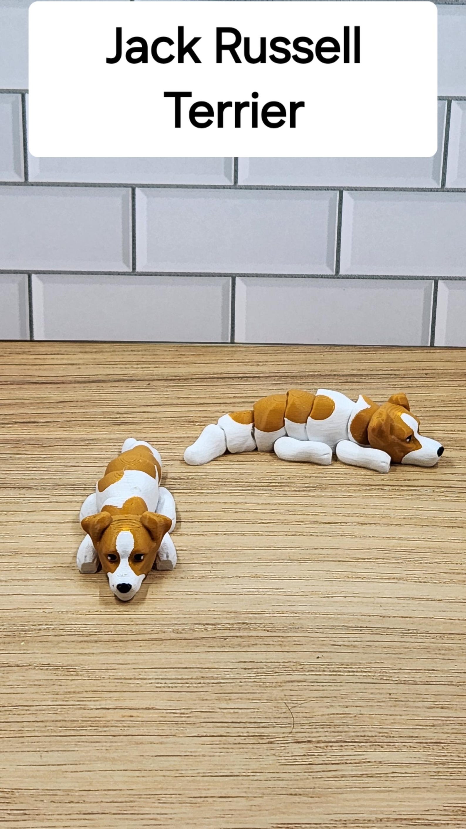 Articulated 3D Printed Dog Flexi Fidget - Set #5 | 8 Adorable Varieties ...