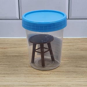 Puede incluir: Un taburete de madera en miniatura dentro de un recipiente de pl&aacute;stico transparente con tapa azul. El recipiente tiene marcas de medici&oacute;n. El taburete es de color marr&oacute;n oscuro con cuatro patas y un asiento redondo.