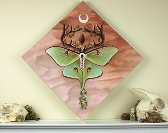 Ancestor Moth 12x12 Fine Art Giclee Print on Wood