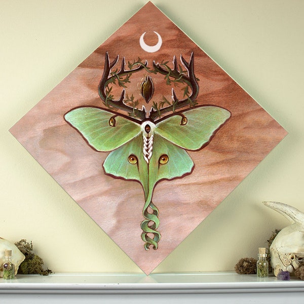 Ancestor Moth 12x12 Fine Art Giclee Print on Wood