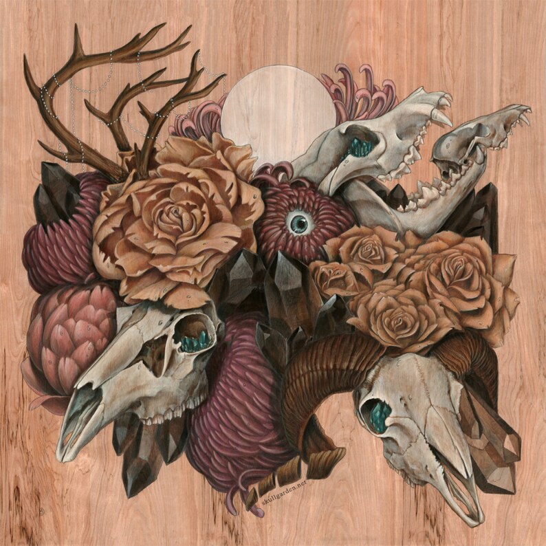 Skull Garden 18x18 Fine Art Giclee Print
