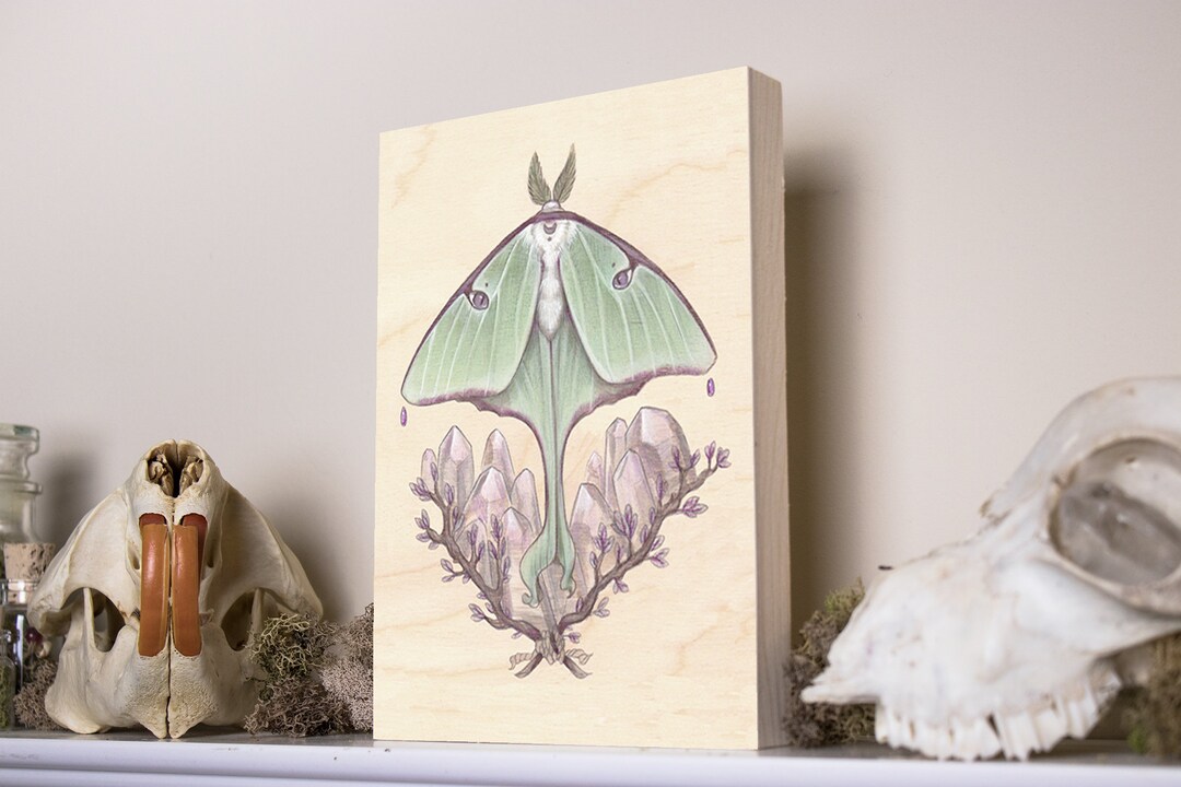 Luna Moth 5x7 Fine Art Giclee Print on Wood - Etsy
