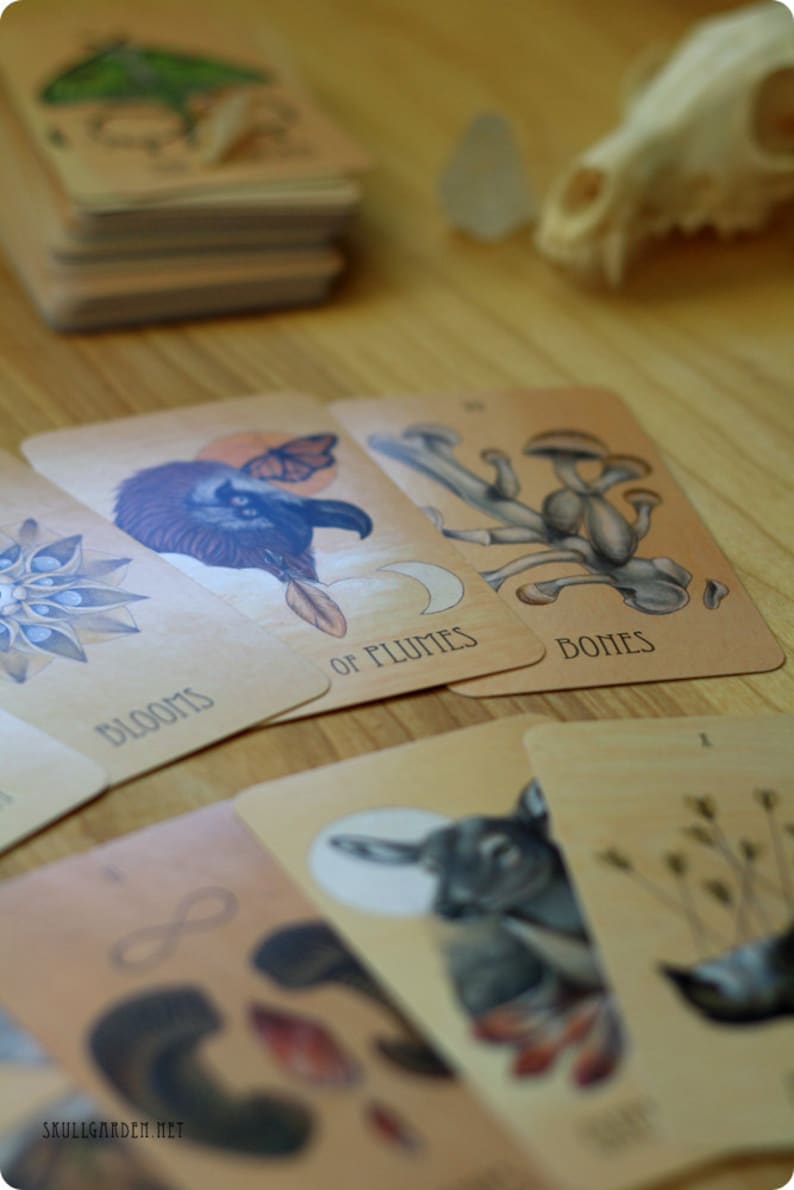 The Wooden Tarot Deck 画像 7