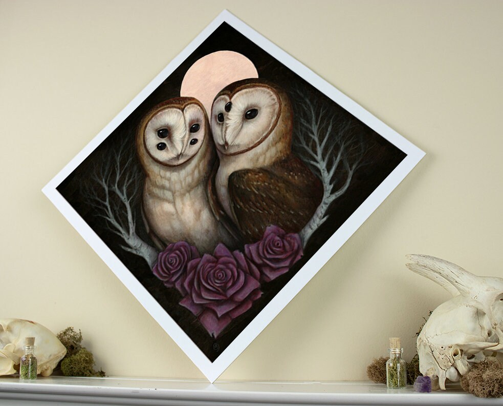 Barn Owl Couple 12x12 Fine Art Giclee Print