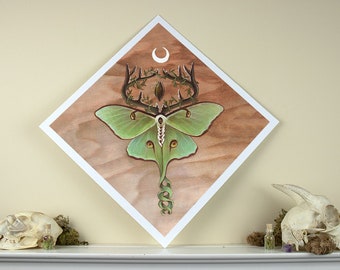 Ancestor Moth 12x12 Fine Art Giclee Print