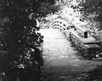 Bridge at Starved Rock Black and White Photo Nature