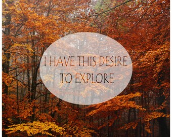 Puede incluir: Imagen de un bosque en otoño, con árboles que muestran un follaje naranja y amarillo vibrante. El texto "I HAVE THIS DESIRE TO EXPLORE" está superpuesto en un óvalo blanco en primer plano, sugiriendo un tema de aventura y naturaleza.