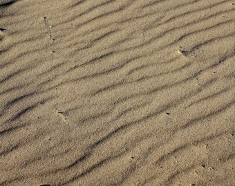 Sand on Beach Color Photograph FREE US SHIPPING