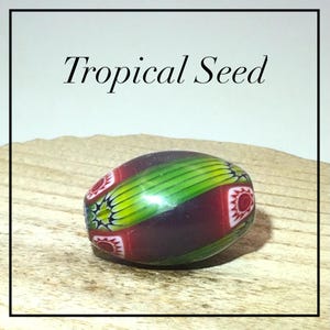 Może przedstawiać: Owalny szklany koralik z napisem Tropical Seed powyżej. Koralik ma gładką, polerowaną powierzchnię z żywym wzorem pionowych zielonych pasków, ciemnobordowych sekcji oraz małych czerwono-białych motywów kwiatowych w kształcie gwiazd.