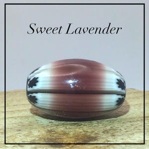 Könnte beinhalten: Eine ovale Glasperle mit einem glatten braunen Mittelband, das von weißen Abschnitten mit schwarzen blattartigen Mustern flankiert wird. Der Text Sweet Lavender ist in Schwarz über der Perle aufgedruckt. Die Perle hat eine glänzende Oberfläche.