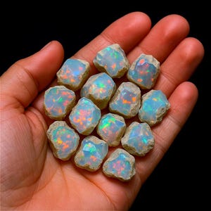 Peut inclure: Plusieurs pierres d'opale brutes, chacune présentant un jeu de couleurs unique avec des éclats orange, verts et bleus. Les opales sont tenues dans une main sur fond noir, mettant en valeur leur état naturel et non poli.