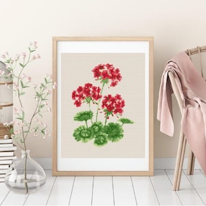 Puede incluir: Una impresión enmarcada de una pintura de acuarela de geranios rojos con hojas verdes sobre un fondo blanco.