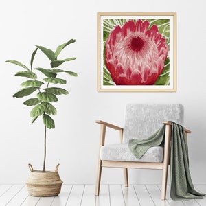 May include: A framed print of a red and pink protea flower with green leaves. The print is in a light wood frame and is hanging on a white wall.