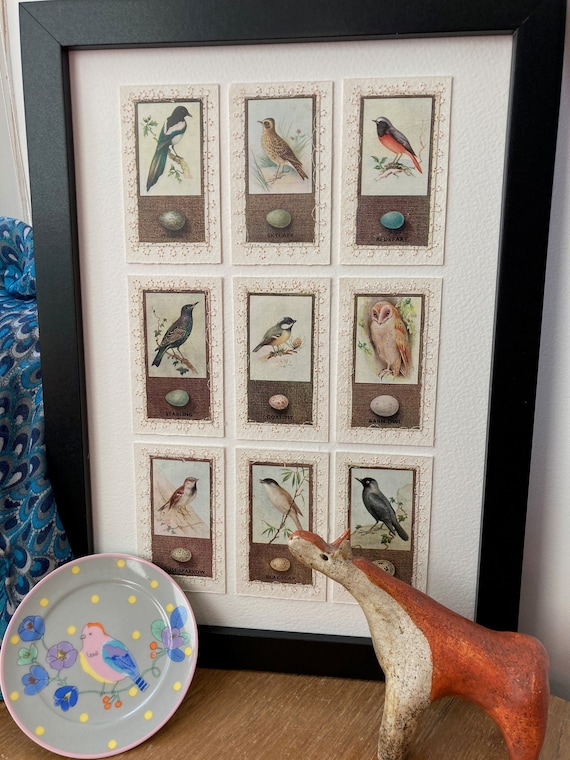 British Birds and Their Eggs - Vintage Cigarette Cards , Collaged,  Embroidered and Framed. Great Gift for an Ornithologist!