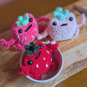 Strawberry Crochet Frog | Colorful Frog Fruit Plushies | Handmade Gift | Cute Frog | Amigurumi Frog | Round Soft Frog | Frog Lover Gift