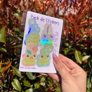 Set de 4 Stickers grenouilles de printemps - Muguet, Tulipes, Lavande et Fraise - STICKER HOLOGRAPHIQUE ~ autocollants version sketch frog