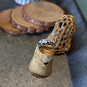 Engagement Ring Surprise, Pop the question when Morels Pop. Morel carved ring box