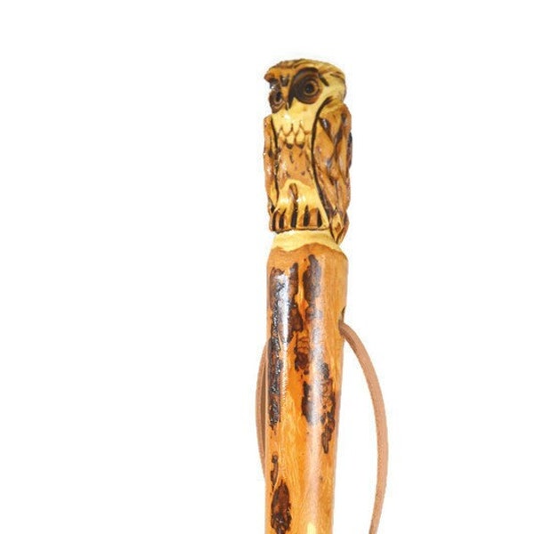 Walking Stick with Owl Carving in Hardwood, Strong Kiln Dried Hiking Staff by Creation Carvings