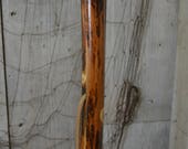 Hickory Walking Stick, Staff, walkingstick, Kiln Dried Stick, Trecker, Plain Walking Stick, Staff, Natural Hiking Stick Hickory Hiking Stick