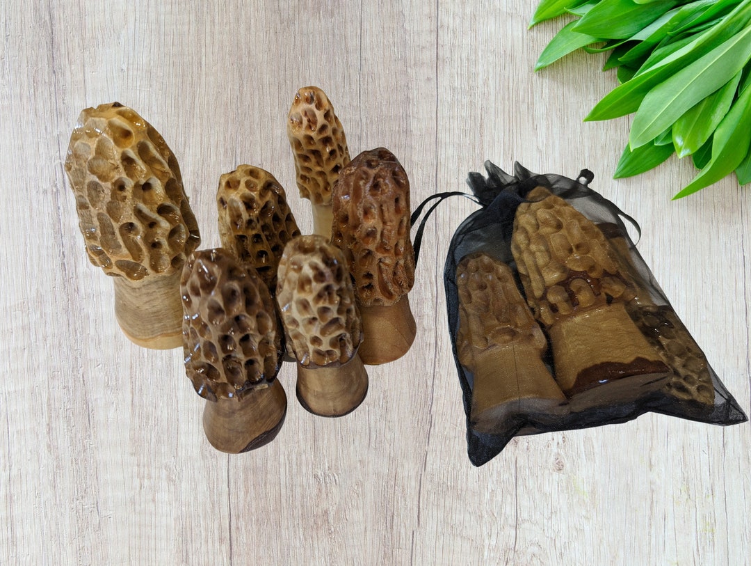 Morel Mushrooms, Bag of Morel Mushrooms, Wooden Set of 3 Morels