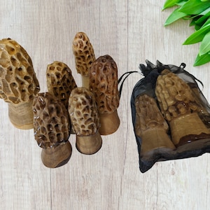 Morel Mushrooms, Bag of Morel Mushrooms, Wooden set of 3 Morels Mushrooms in a Mesh bag