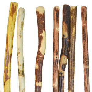 Plain Walking Stick + Quality Wood Walking Sticks + Custom Height 48&quot; - 72&quot; Tall + Affordable Walking Stick + Options + Strong made in USA
