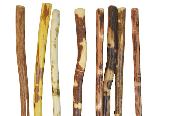 Walking Sticks - Woodworkers Institute