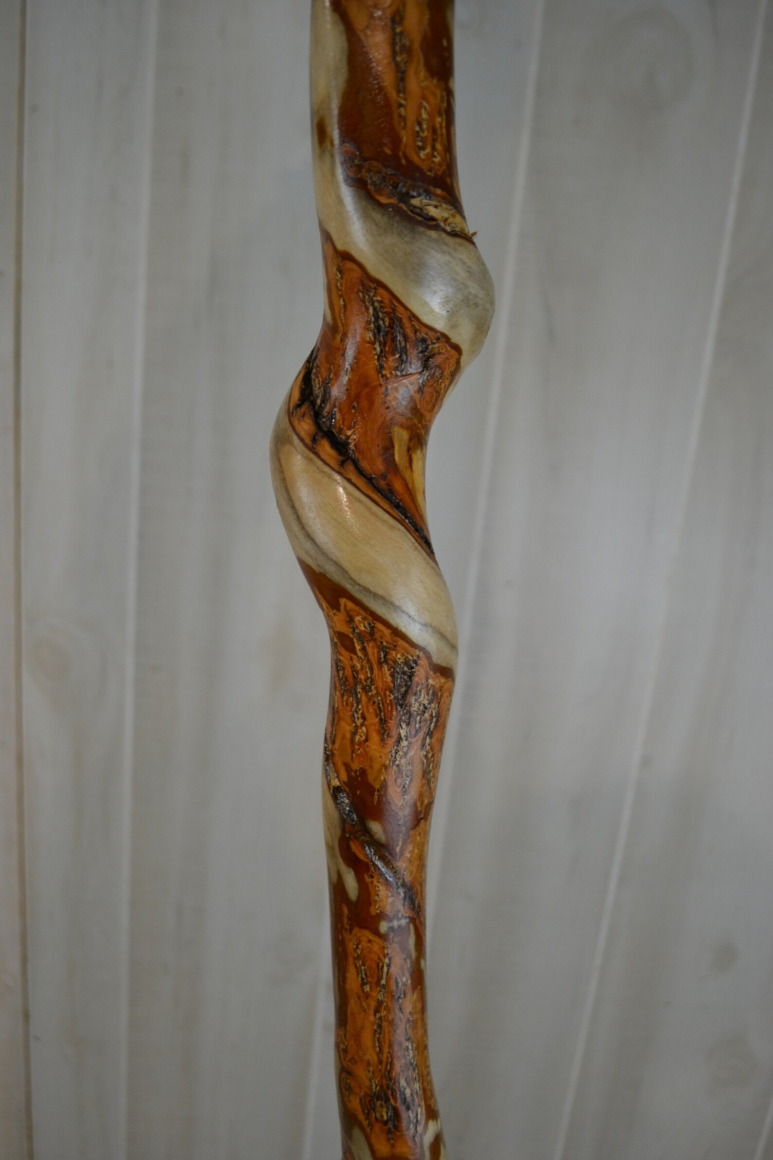 Walking Stick Vine Twisted Natural Vine Choked Hiking Etsy
