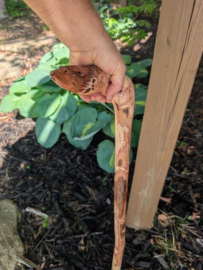 K&ouml;nnte beinhalten: Ein handgeschnitzter Holzspazierstock mit einem detaillierten B&auml;renkopf. Der Stock besteht aus hellbraunem Holz mit nat&uuml;rlichen Mustern und einem gebogenen Griff. Das Gesicht des B&auml;ren ist aufwendig mit sichtbaren Fell Details geschnitzt.