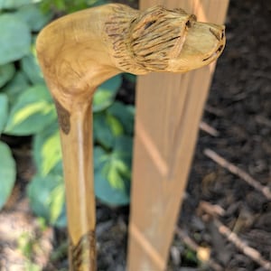 May include: A handcrafted wooden walking cane with a carved bear head handle. The cane is made of light brown wood with a detailed bear face and a decorative band near the base. The background includes green foliage and a wooden structure.