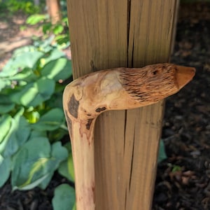 K&ouml;nnte beinhalten: Ein handgeschnitzter Holzspazierstock mit einem Entenkopf-Design. Der Entenkopf ist aufwendig mit detaillierten Federn und einem spitzen Schnabel geschnitzt. Der Stock besteht aus hellem Holz mit dunkelbraunen Flecken.