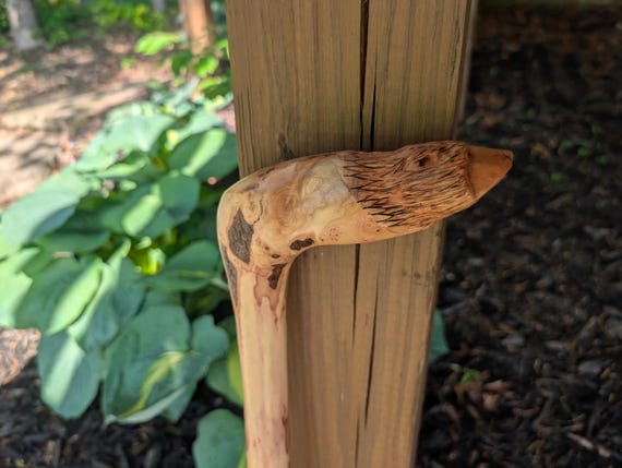 Carved Bear Walking Cane: Dogwood Root, Heavy Duty Large Handle, Functional Art (38")