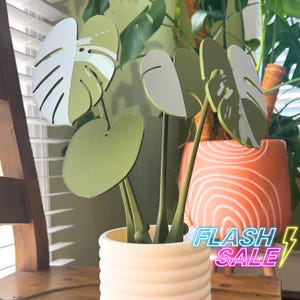 May include: A white ceramic planter with a ribbed texture holds a set of green and white painted wooden leaves. The leaves are shaped like monstera plants and are arranged in a decorative display.