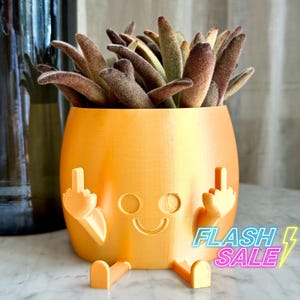 May include: A gold-colored ceramic planter shaped like a cartoon character with a smiling face and two raised middle fingers. The planter is filled with a succulent plant.