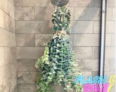 Fresh Eucalyptus Shower Bundle | Aromatherapy Hanging House Plants for Shower Bathroom | Low Maintenance Plants Gift | Live Houseplants