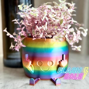 May include: A rainbow-colored ceramic planter with a smiley face and two middle fingers raised. The planter is filled with a pink and green leafy plant.