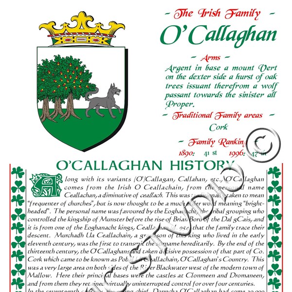 Callahan Irish Family History