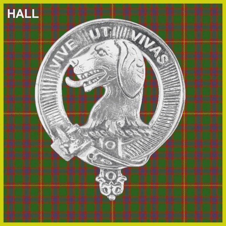 Hall Clan Badge Scottish Plaid Brooch