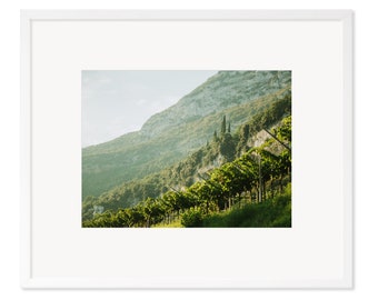 Italian Orchard Fine Art Photographic Print Matted Frame