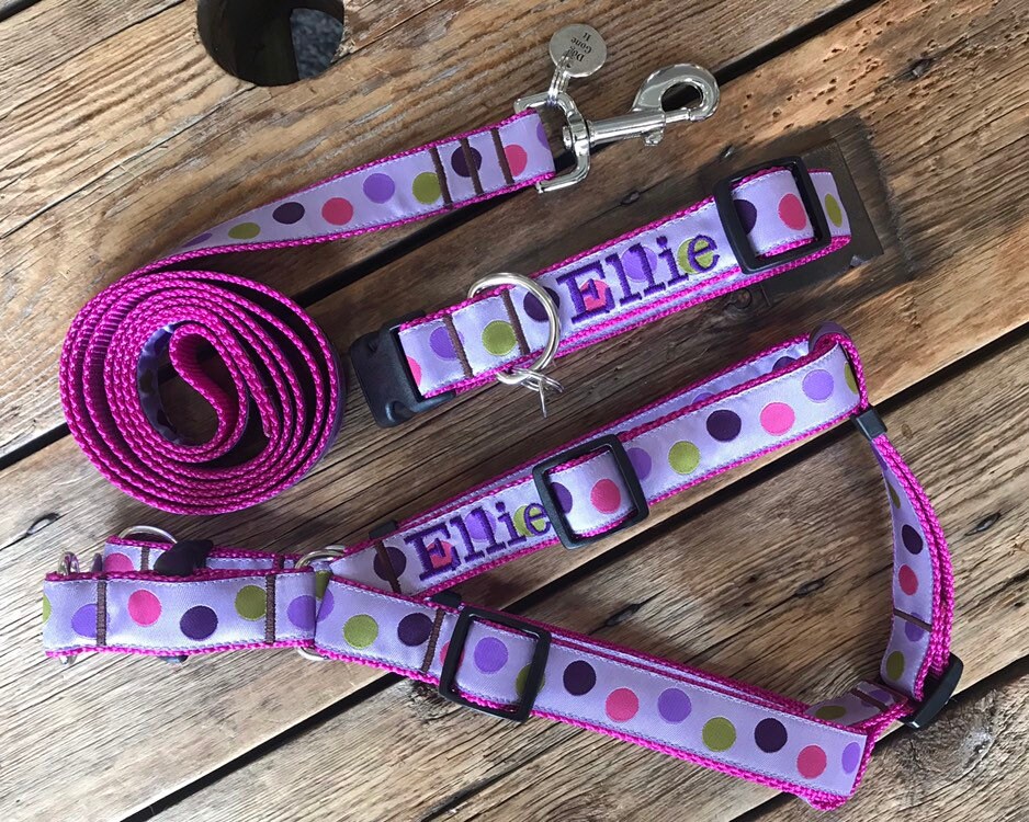 1 Width Personalized Dog Collar Custom Dog Collar Etsy