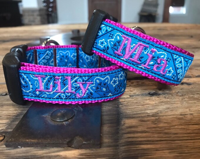 1 Width, Personalized Dog Collar, Custom Dog Collar, Martingale Collar