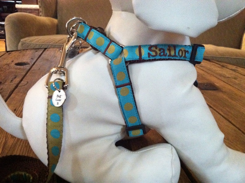 Harness and Lead Set Any 5/8 Pattern and Size. Etsy