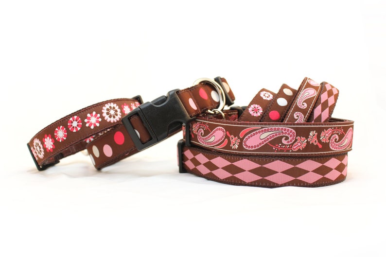 Med or Large Personalized Dog Collar. Dog Gone It. Embroidered Etsy