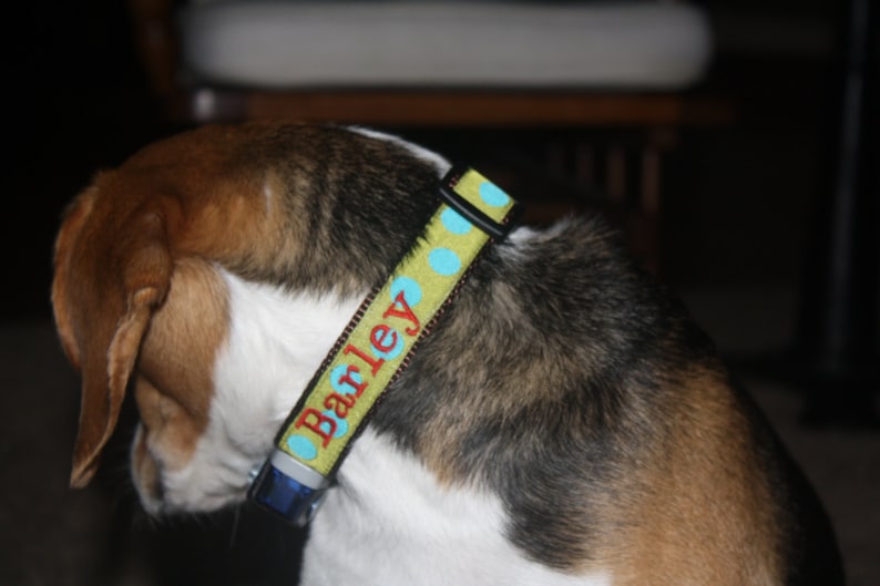 ivisible fence for dogs ivisible fence for dogs
