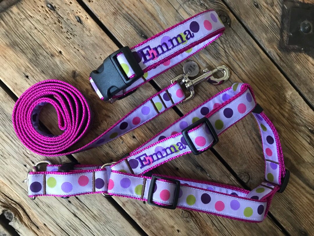 1 Width Harness, Lead, Collar Set. Any Patterns. Personalized Dog