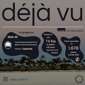 May include: A graphic with the text "d&eacute;j&agrave; vu" in black text on a light gray background. The graphic also includes the text "in progress" and "2024-25" in white text on a black background. The graphic also includes the text "Thanks to you" and "74 lbs of plastic will never end up in our oceans" in white text on a light gray background. The graphic also includes the text "This is equivalent to 1,678 plastic bottles (0.5L)" in white text on a light gray background. The graphic also includes a beach scene with palm trees and a beach.