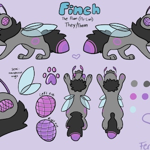 Op de afbeelding: Een digitale illustratie van een cartoonfiguur genaamd Finch, een vliegen-leeuw hybride. Finch is grijs met paarse accenten en heeft semi-transparante vleugels. De illustratie bevat een kleurenpalet en een close-up van Finch's hoofd.