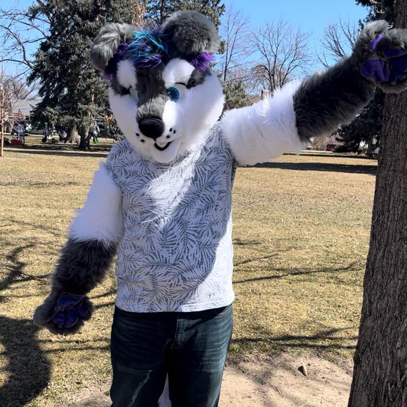 May include: A gray and white furry wolf costume with a blue and purple mohawk. The wolf is wearing a white t-shirt with a leafy pattern and blue jeans. The wolf is standing in a grassy park with a tree in the background.