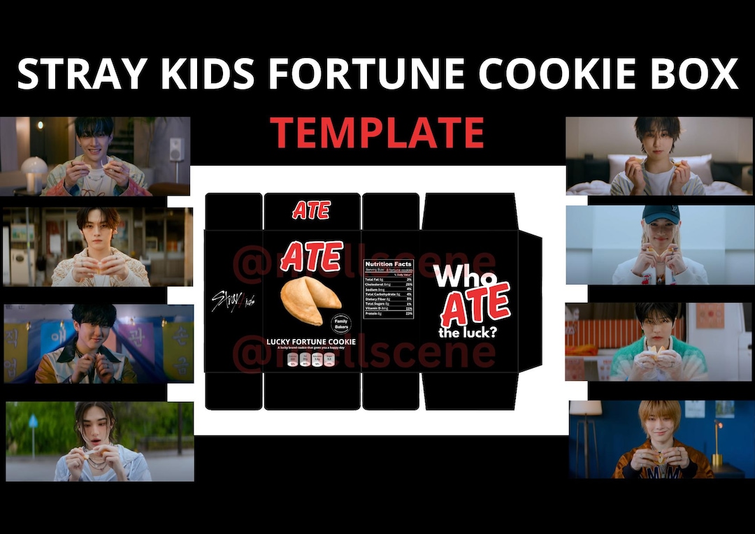 STRAY KIDS Fortune Cookie Box TEMPLATE Skz Template Stray Kids